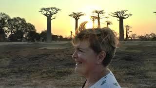 MADAGASCAR - 31 - Baobab Avenue