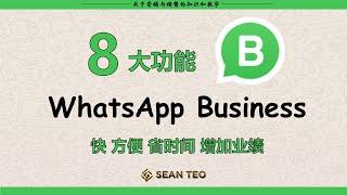 WhatsApp Business Auto Reply | WhatsApp Business自动营销 ｜by Sean Teo Group - STG