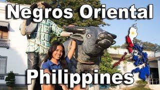 Visit Negros Oriental | Philippines