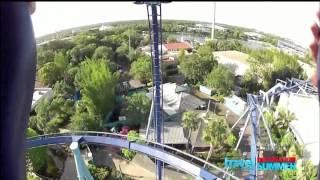 Manta At SeaWorld Orlando