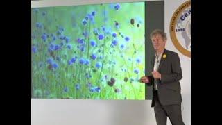 Paul Jupp   The magic of flower meadows in gardens and community spaces