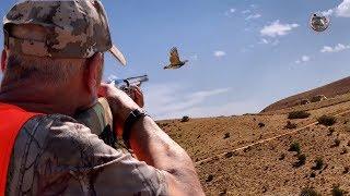 Hunting Partridge Season 2019 | ARG.CHASSES - KHEMISSET