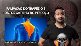 AO VIVO: PALPAÇÃO DO TRAPÉZIO E PONTOS GATILHO DO PESCOÇO