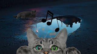 Healing Frequency Music for Cats ‍⬛ Calm & Relax