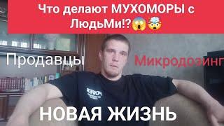 Что делают МУХОМОРЫ с ЛюдьМи #Новый взгляд #Продавцы #Качественный Мухомор