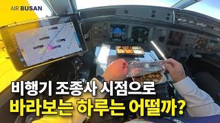 전지적 기장 시점