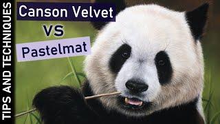 Canson Mi-Teintes Velvet VS Pastelmat paper comparison | Panda pastel drawing