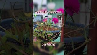 Making DIY hanging pot | Portulaca  #shorts #diy #trending