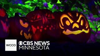 How carving pumpkins became a Halloween tradition in the U.S.