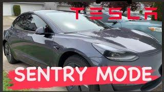 Tesla Sentry Mode Explained: An Advance Auto Safety Feature. 9 Cameras on Patrol!