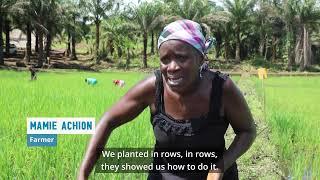 Sierra Leone: Planting for Food and Climate and Peace