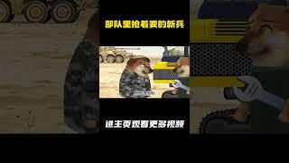 部队里抢着要的新兵 #cheems #新兵