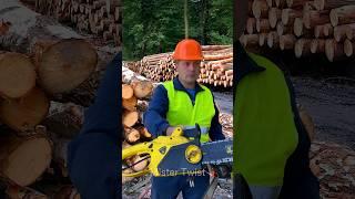 Trees Revenge on Loggers!