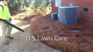 D S  Lawn Care