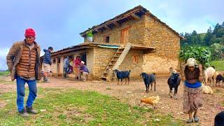 This is Himalayan Nepali village life || most peaceful And Relaxing village life || Nepali village