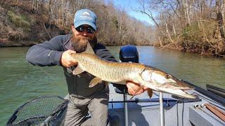 Muskie Fly Fishing | Flies Rods Reels Line Leaders