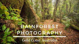 Rainforest Photography | Gold Coast Australia.