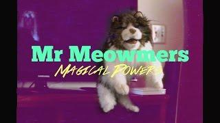 Mr Meowmers Magical Powers