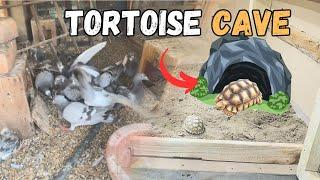 Tortoise ky liay hidding space bna di or Pigeons ko kia hogya?  #aquariumpets #petsvlog #vlog