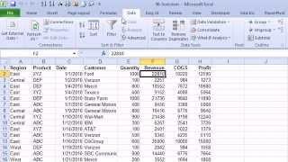 CFO Learning Pro - Excel Edition - "Sort The Largest Company"