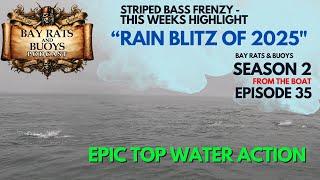 Striped Bass "Rain Blitz of 2025" Best Fishing