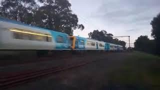 Belgrave Railway Line train along my friend's backyard