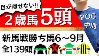 【競馬】【一口馬主】新馬戦勝ち馬全139頭！気になる５頭！POG上位人気馬は…