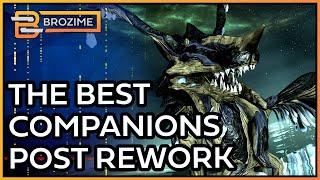 Top 10 Best Warframe Companions of 2024