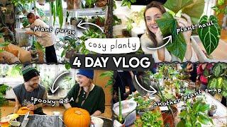 Plant Purge, HAUL + 4 Days of Cosy Plant Chores