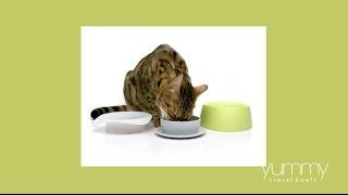 Yummy Travel Bowls for pets by Sleepypod - Instructional Video