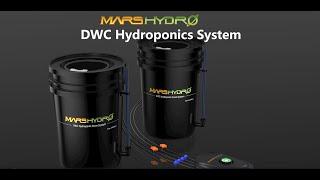 How to set up the marshydro 5-Gallon DWC hydroponic system. #Marshydro #dwc #watersystem