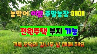 367. 오덕리 주말농장매매 농막이 있는 기북 주말농장매매 위치가 좋은 포항전원주택부지매매 오덕리전원주택부지매매 주말농장과 전원주택을 동시에 지북부동산 포항부동산 지목부동산