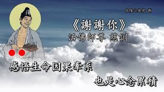 善歌丨謝謝你丨活佛師尊 慈訓丨白陽小徒兒