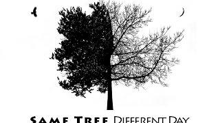 Mike Pach - Same Tree, Different Day