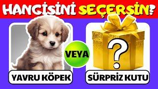 Hangisini Tercih Edersin?Sürpriz Hediye Kutusu Özel| Heyecanın Adı: Sürpriz Kutusu Challenge!