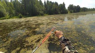 РЫБАЛКА С РОГАТКОЙ ЛЕТОМ С ЛОДКИ В ИЮЛЕ | Slingshot Fishing #87