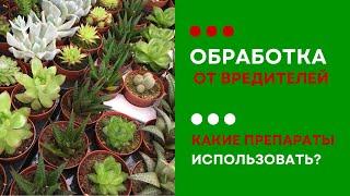 Обработка от вредителей. Чем обрабатывать растения?