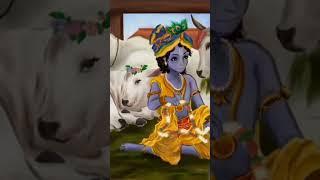 happy krishna janmashtami || krishna janmashtami whatsapp status