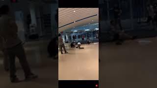 حبيب نورماغمدوف البطل حبيب يهرب من ثعبان في دبي مضحك