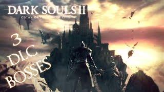 Dark Souls 2 DLC All BOSS Crown Of The Sunken King Dual Swordsman