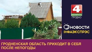 Гродненская область приходит в себя после непогоды