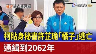 柯貼身秘書許芷瑜「橘子」逃亡 通緝到2062年