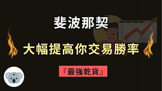 【最強乾貨】斐波那契：大幅提高你交易勝率！解決交易市場公認，最容易產生虧損的行情！（附中文字幕）投資腦袋の 熊敖