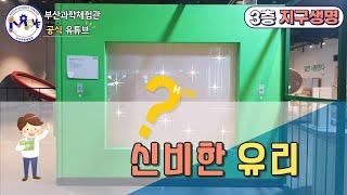 신비한 유리🪟 | 전시물 해설 #부산과학체험관