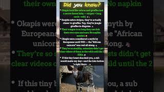 Did You Know That This Animal Was a Myth Until 1901 — And It Can Lick Its Own EYES #didyouknow