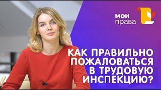 Как обратиться в трудовую инспекцию? / Консультация юриста / МОИ ПРАВА