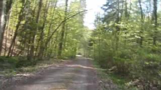 Timelapse video: Biking from Sindelfingen to Herrenberg, passing through Schönbuch forest