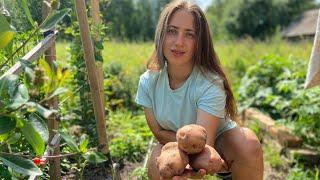 It's Hard to Resist Belarusian Potatoes | Vlogust Day 7