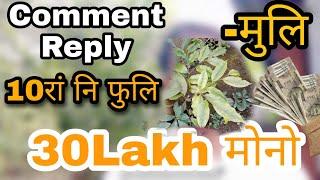 Comment Reply  || Muli || 10 Rang ni Phuli || 30 Lakh Mwnw