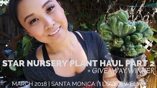 Star Nursery Plant Haul part 2 + Giveaway winner| March 2018 | ILOVEJEWELYN